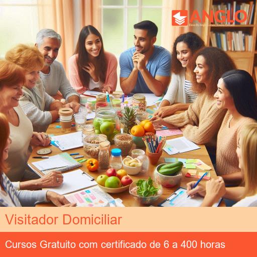 Visitador Domiciliar